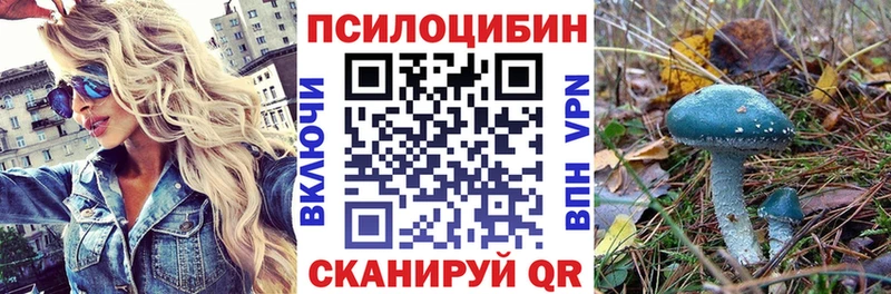 Псилоцибиновые грибы MAGIC MUSHROOMS  Купить где  Петровск-Забайкальский 